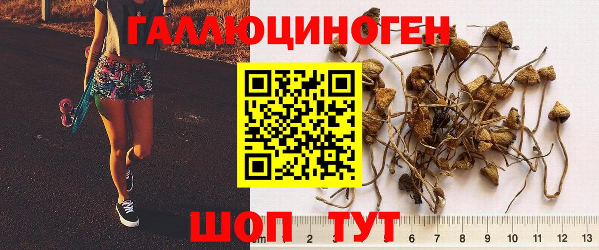 Галлюциногенные грибы ЛСД Сыктывкар