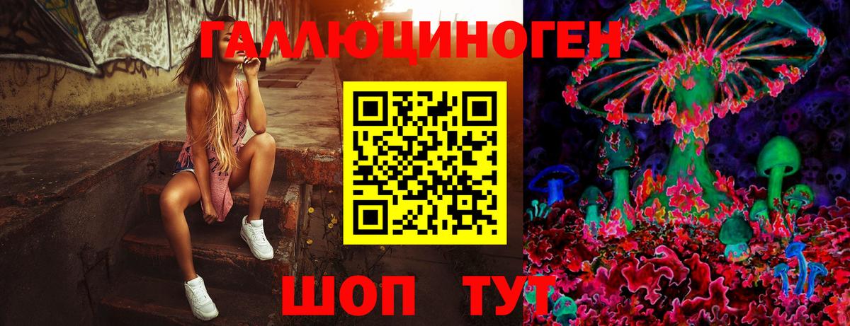 Сыктывкар  Псилоцибиновые грибы GOLDEN TEACHER  Вход с VPN 